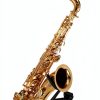 Pavo Alto Saxophone Stand Black Steel-4