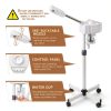 Facial Steamer Nova Ionic Ozone Stainless DT318-2