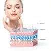 Ionic Facial Steamer EZBASICS Beauty-2