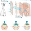 Hleane Facial Steamer 7 Piece Set Beauty-1
